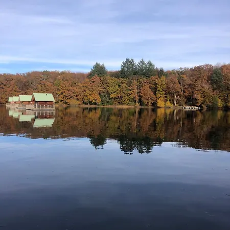 Les Flottants De Capucine *